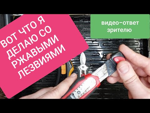 Видео: Я думал это все знают! О ржавеющих лезвиях. Мой видео-ответ зрителю.