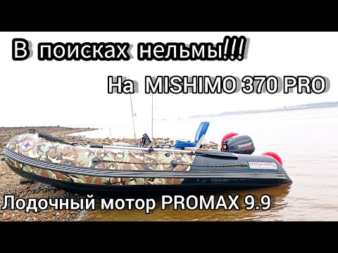 Видео: По волне в поисках нельмы на На лодке Mishimo 370 PRO