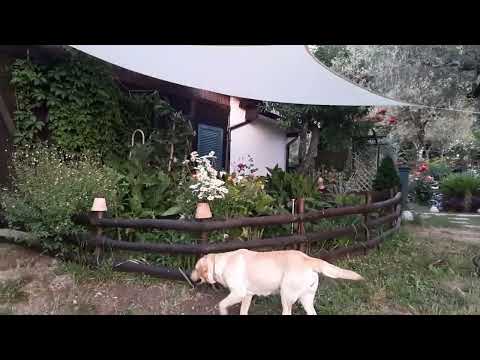 Видео: Шале и розы в горах Италии. Море, липа, домашние хлопоты, сельский образ в одежде.