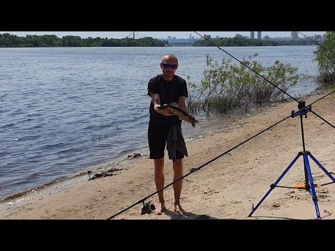 Видео: Судак на Живца и Хвосты / Ловля на Донки с Берега / Видеоотчет Июнь 2024