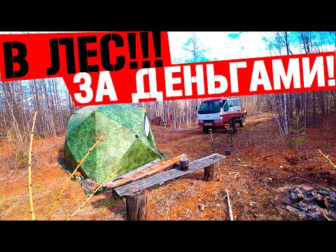 Видео: В ТАЙГУ С ПАЛАТКОЙ НА МЕТАЛО КОП! НАШЛИ ТРАКТОРНУЮ МАСТЕРСКУЮ В ЛЕСУ!