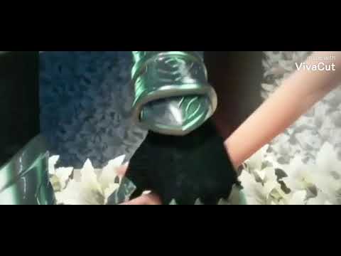 Видео: Джим и Клер 💞💝