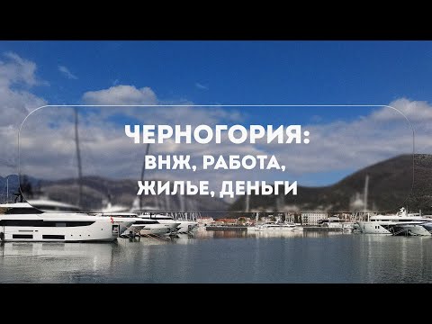 Видео: ВНЖ ЧЕРНОГОРИИ | ПОИСК РАБОТЫ И ЖИЛЬЯ В ЧЕРНОГОРИИ | СКОЛЬКО МЫ ТРАТИМ В МЕСЯЦ В ЧЕРНОГОРИИ 2024
