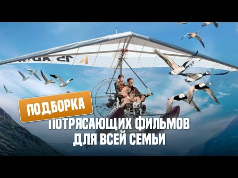 Видео: Подборка потрясающих фильмов для всей семьи!