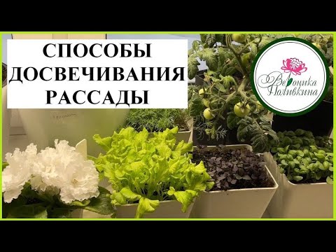 Видео: ВАРИАНТЫ ПОДСВЕЧИВАНИЯ РАССАДЫ НА ЛЮБОЙ КОШЕЛЕК