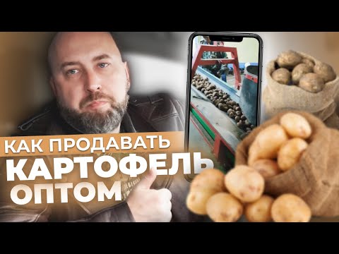 Видео: Как Продавать КАРТОФЕЛЬ ОПТОМ - Разбор Ниши от Практика. Оптовый Бизнес, бизнес с нуля