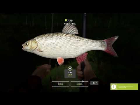 Видео: #10 МЫ ПОЧТИ У ЦЕЛИ! Russian Fishing 4