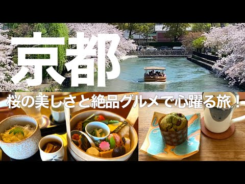 Видео: Наслаждайтесь цветущей сакурой и роскошной едой для гурманов в Киото🌸
