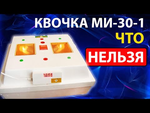 Видео: Инкубатор Квочка ми-30-1-э - ВОТ Почему нельзя брать ЕГО  в село