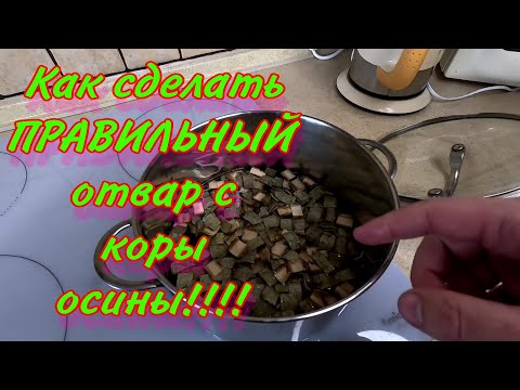 Видео: Как сделать ПРАВИЛЬНЫЙ отвар с КОРЫ ОСИНЫ!!!!