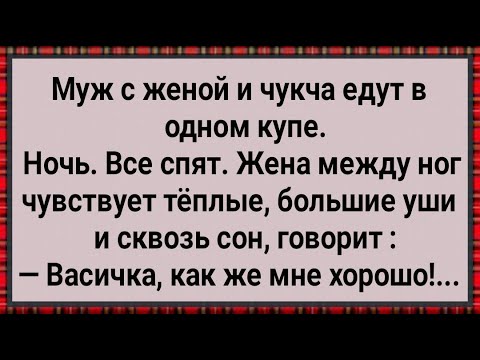 Видео: Как Чукча в Поезде Чужую Жену Захотел! Сборник Свежих Анекдотов! Юмор!
