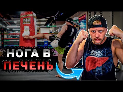 Видео: Удар ногой в печень как бить. Кикбоксинг тренировки