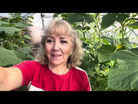 Видео: Хроника дня 💁🤗🌼🌺