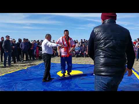 Видео: Терісаққан ауылы күрес 23.04.2022. Шеңбер түйе палуан.