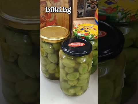 Видео: Как се правят зелени маслини у дома