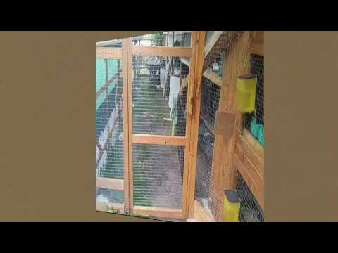 Видео: Мой вольер для кроликов и клетки Часть 3