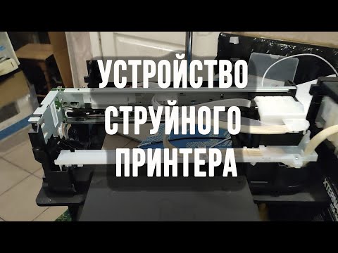Видео: Устройство струйного принтера Epson из чего состоит струйный принтер