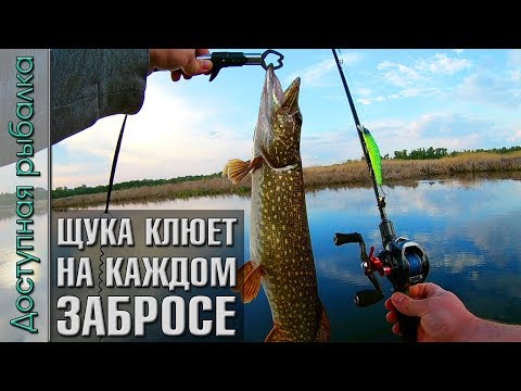 Видео: ЩУКА КЛЮЕТ НА КАЖДОМ ЗАБРОСЕ на воблеры с АлиЭкспресс | Тест SeaKnight ELF-2 и Ace Hawk Ag Voyager