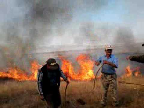 Видео: Тарбагатай ауданы  Куйган ауылы қыстау өртті