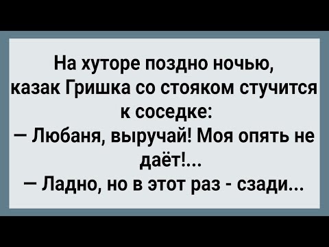 Видео: Как Гришка Казак По Бабам Бегал! Сборник Свежих Анекдотов! Юмор!