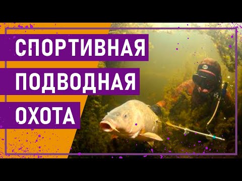 Видео: Вот это спорт! СПОРТИВНАЯ ПОДВОДНАЯ ОХОТА