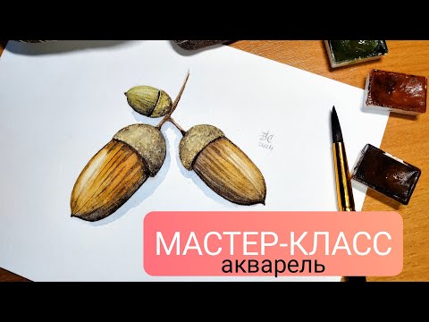 Видео: МАСТЕР-КЛАСС для начинающих "Жёлуди акварелью"