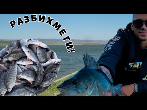 Видео: ГОЛ СЛЕД ГОЛ! Набарахме гъсти костури!