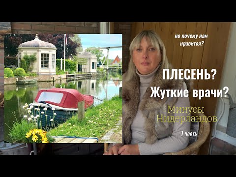 Видео: Минусы плюсы Нидерландов. 1 ч Плесень и плохая медицина. Почему нам нравится? Сколько стоит жизнь.