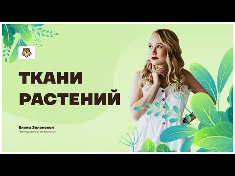 Видео: Ткани растений за 6 минут | ОГЭ БИОЛОГИЯ 2021