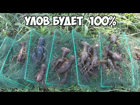 Видео: КАК ПОЙМАТЬ РАКОВ.ВСЕГДА БУДЕТЕ С УЛОВОМ ЕСЛИ ПОСМОТРИТЕ ЭТО ВИДЕО
