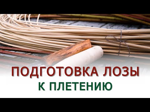 Видео: ПОДГОТОВКА ЛОЗЫ К ПЛЕТЕНИЮ  #лозоплетение