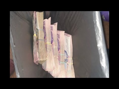 Видео: Деньги из мусора, Минск. Витёк мусорщик