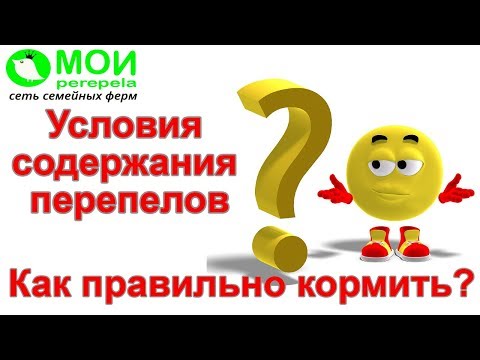 Видео: Условия содержания перепелов  Как правильно кормить? Содержание перепелов