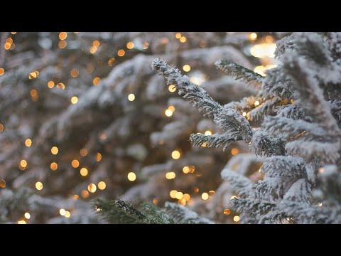 Видео: 🎄Новогодний плейлист🎄|  С НОВЫМ 2024 ГОДОМ❄