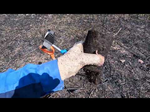 Видео: КОП МЕТАЛЛА 30.03.2025