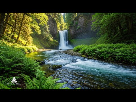 Видео: Восстановите нервную систему 🌿 Исцеляющая музыка, Перестаньте слишком много думать