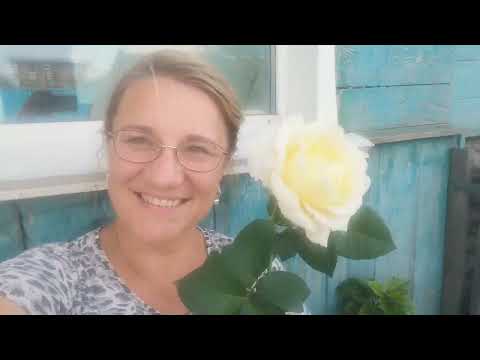 Видео: 20 и 21 августа. Поём и работаем... 