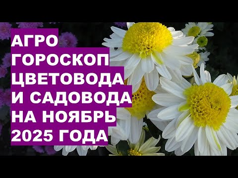 Видео: Секреты успешного сада и огорода в ноябре 2025!