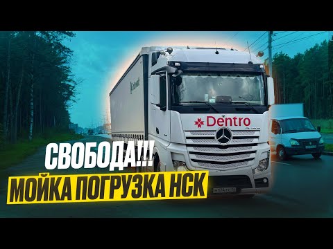 Видео: ЧИСТЫЙ МЕРС, СЕРЁГА РАД‼️ РАБОТАЕМ ДАЛЬНОБОЙ🤝 #дентро #дальнобой 