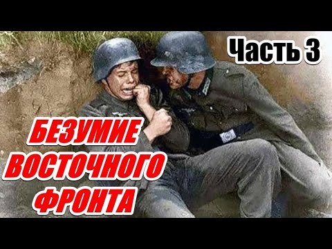 Видео: ВОСПОМИНАНИЯ АРТИЛЛЕРИСТА ВЕРМАХТА. Алоис Цвайгер. Часть 3