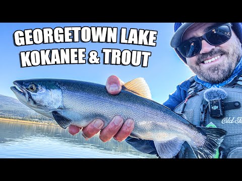 Видео: Джорджтаунское озеро Кокани и форель