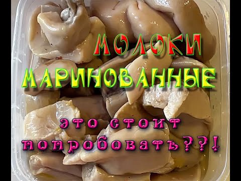 Видео: молоки маринованные