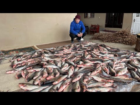 Видео: Приготовили 300 кг Рыбы и угостили всех! Как Узбеки  Жарят рыбу! Туй продолжается!