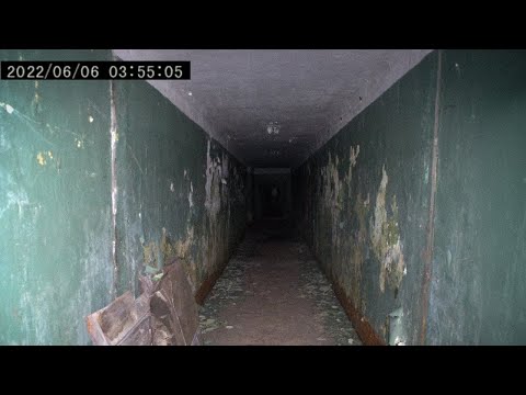 Видео: 1 Час Самых Тревожных Встреч в Заброшенных Зданиях, Снятых на Камеру