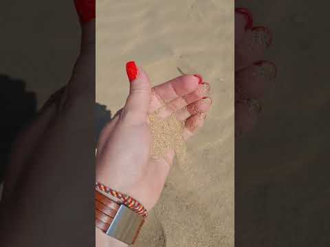 Видео: Яньтай 16.05.2024