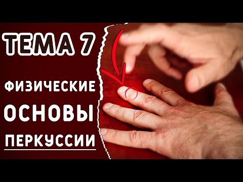 Видео: Тема 7. Физические основы перкуссии