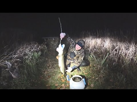 Видео: ОГРОМНЫЕ СТАИ ЛЕЩА И ЯЗЯ НА МИКРОРЕЧКЕ. НАСТРЕЛЯЛ МЕШОК РЫБЫ НА ПОДВОДНОЙ ОХОТЕ.