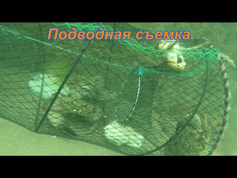 Видео: Много крупного краба. Ловля крабов, рыбы на ловушки. Черное море Абхазия. Как ловить крабов на  море