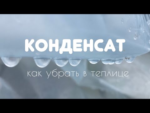 Видео: Конденсат в теплице. Как убрать конденсат в теплице.