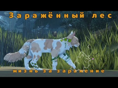 Видео: 1 серия "Заражённый лес"! Коты воители роблокс! Warrior Cats Ultimate Edition Roblox